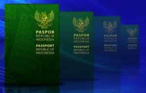 passport ind